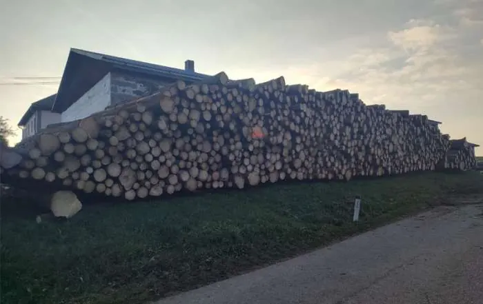 Holzpolter an der Forststraße