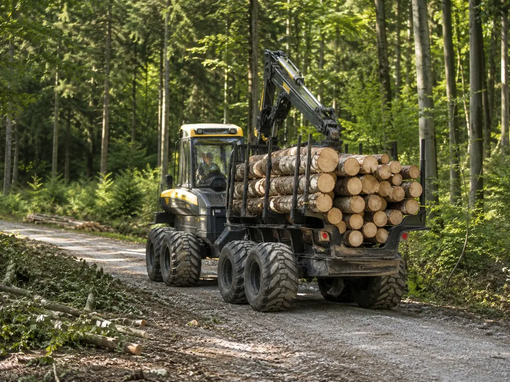 Rückung von Holz mit Forstmaschine